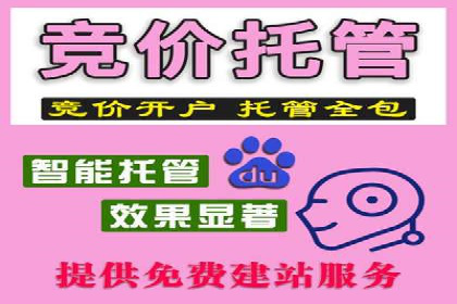 关键词竞价排名策略：成功企业的案例分析